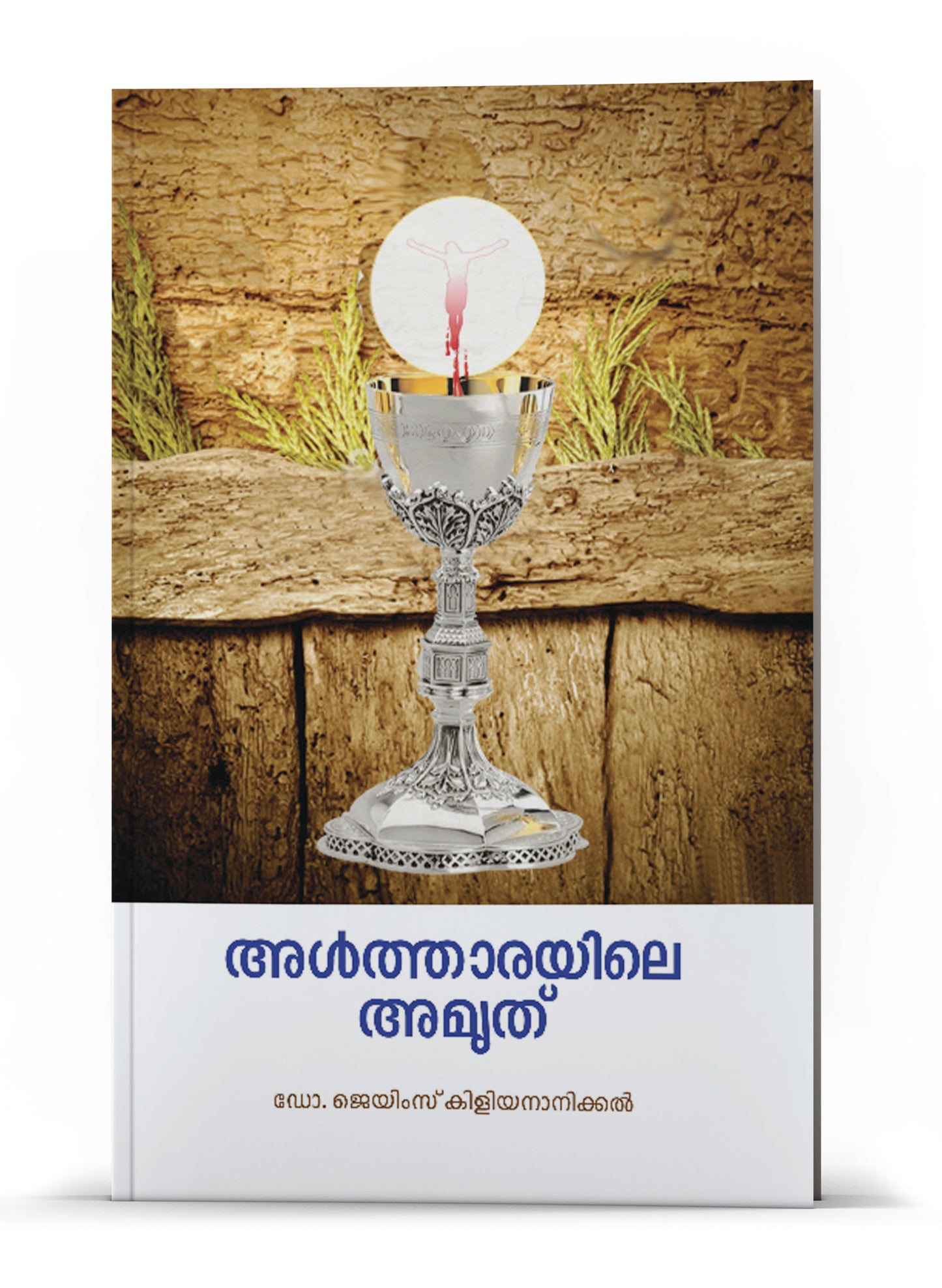 ALTHARAYILE AMRUTH DR JAMES KILIYANANICKAL