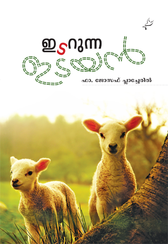 Idarunna Idayan