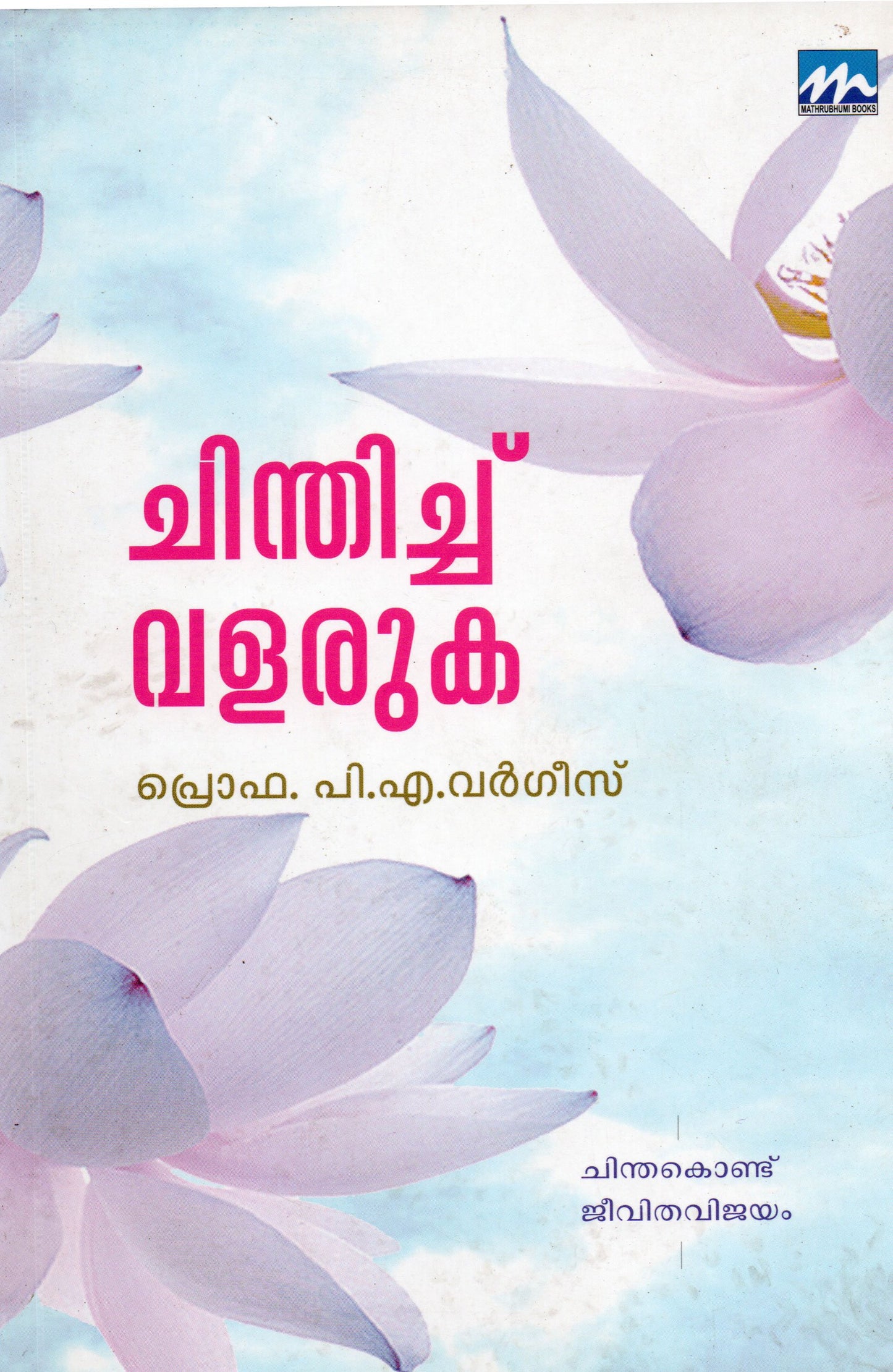 CHINTHICHU VALARUKA - sophiabuy