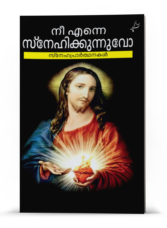 NEE ENNE SNEHIKKUNNUVO