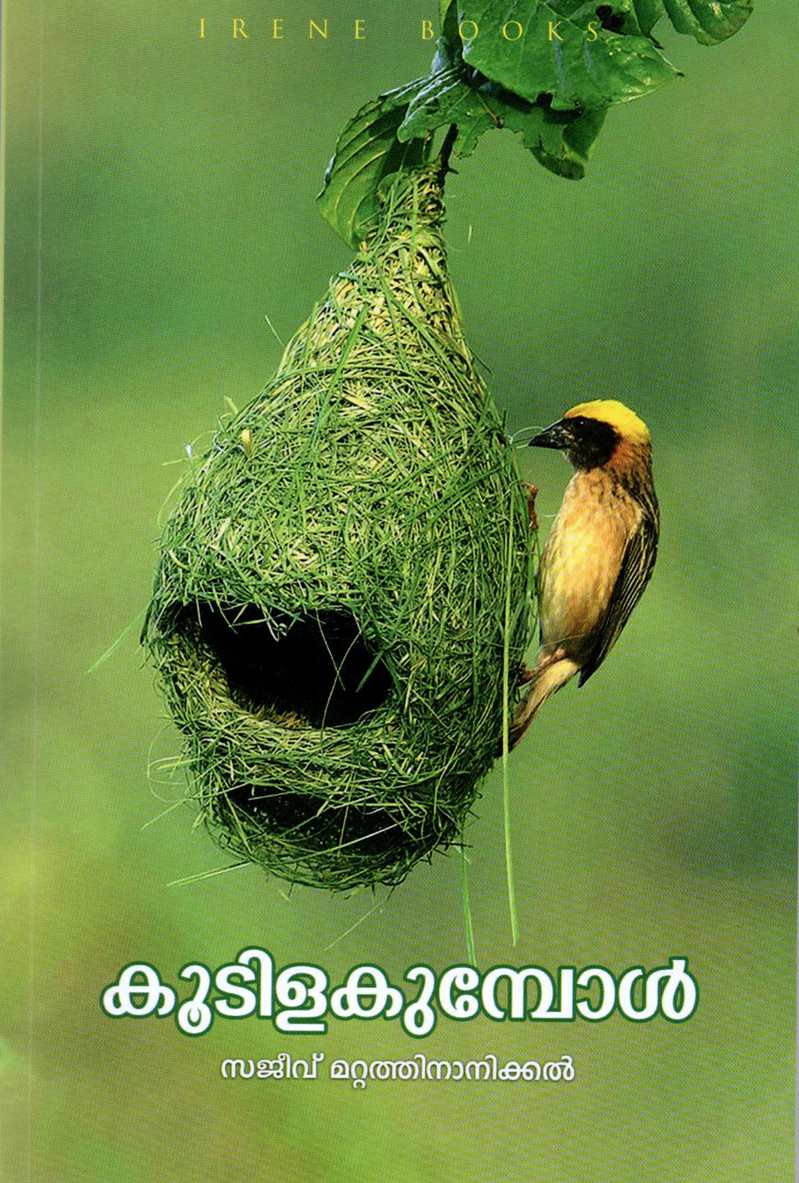Koodilakumbol